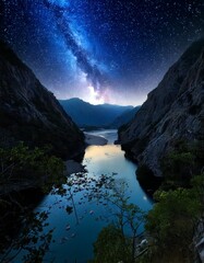 깊은 숲속 은하수