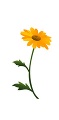 Fototapeta premium Lonely yellow flower