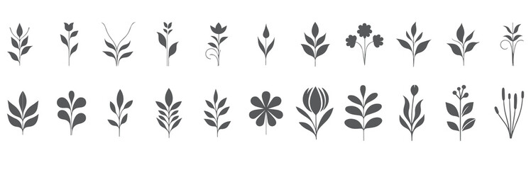 Botanical Illustrations with Floral and Leaf Patterns ,Nature Inspired Design Collection for templates, frames and modern wall art prints, posters, placards.