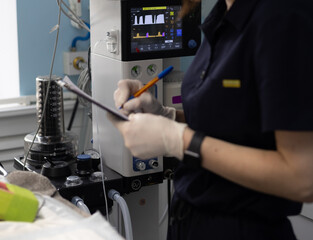 A veterinary anesthesiologist in gloves, writes in a tablet of vital pickers from monitors during an animal surgery in an operating veterinarian. Veterinary anesthetist during surgery on a pet.