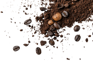 Tobacco is shown alone on a white background with its texture visible from directly above