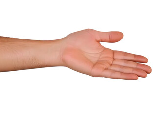 Realistic Image of Open Human Hand with Neutral Skin Tone Isolated on Transparent Background Showing Palm and Fingers for Medical or Design Purposes