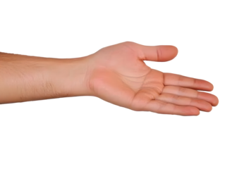 Realistic Image of Open Human Hand with Neutral Skin Tone Isolated on Transparent Background Showing Palm and Fingers for Medical or Design Purposes