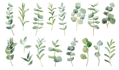 Botanical collection of hand-painted green leaves with various shapes and sizes arranged in a neat pattern for artistic purposes