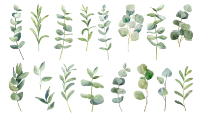 Botanical collection of hand-painted green leaves with various shapes and sizes arranged in a neat pattern for artistic purposes