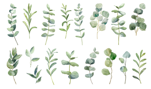 Botanical collection of hand-painted green leaves with various shapes and sizes arranged in a neat pattern for artistic purposes