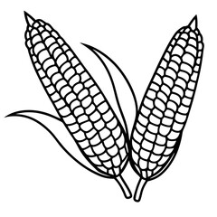 corn cob vector