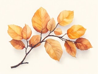 Naklejka premium A watercolor painting of a branch with autumnal leaves in shades of orange and brown on a white background.