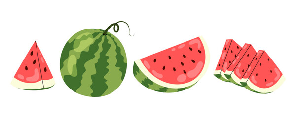 Watermelon. Ripe summer fruit. Round large fresh watermelon. Set flat illustrations ripe watermelon slices.