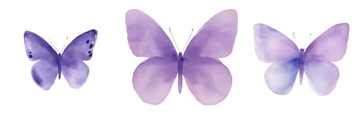 A butterfly is painted in watercolor on a simple white isolated background