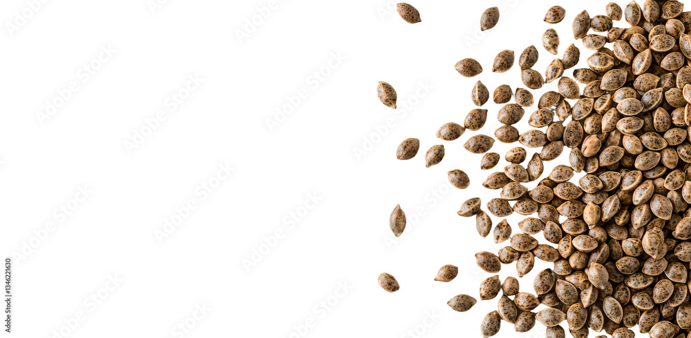 Poster hemp seeds are isolated and set against a white background in a top view