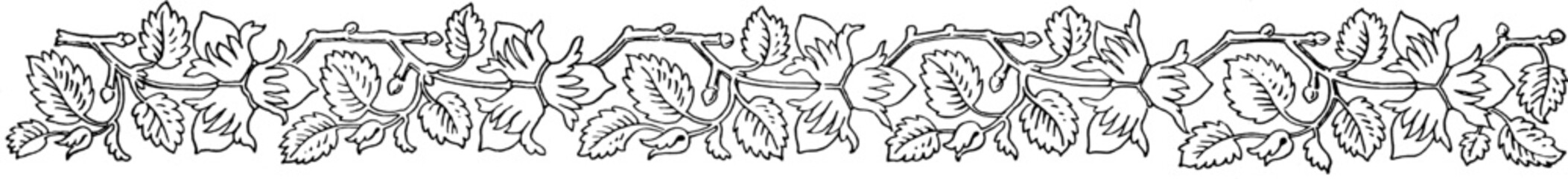 Elegant 1800s Vintage Nature Borders with Floral and Leaf Patterns