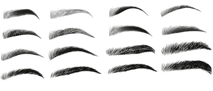 eyebrows collection with realistic hand drawn female eyebrows for beauty products and trendy fashion illustration in vector