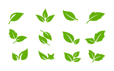 Twelve green leaf icons