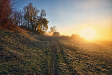 Sunlight Through Fog in a Morning Meadow with Trees