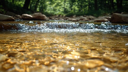 Fototapeta premium Sparkling sunlight illuminates a shallow stream over smooth river rocks