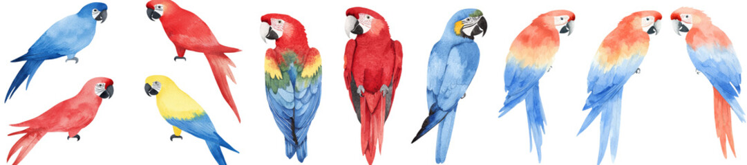 Obraz premium On an isolated white background, a watercolor illustration presents a diverse set of parrots, including macaw, lovebird, cockatoo, hummingbird, and starling