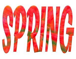 Digital composite. .The word Spring with an overlay of an explosion of red tulips. (tulipa) ..Astronomical spring runs from 21st March until 21st June. ..equinox, flowers, season,