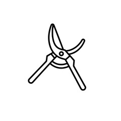 Pruning garden tools on a simple background