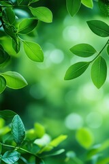 Fototapeta premium Close-up plants banner