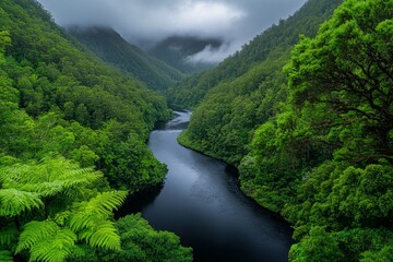 A misty Tasmanian valley in the early morning, with a river meandering through the lush green landscape