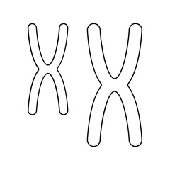 Chromosome icon in line style