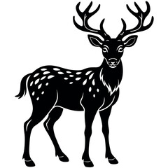 A Deer Silhouette Unveiled