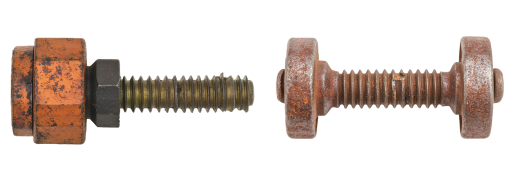 A tiny zinc screw is shown in a macro image with an isolated and shiny appearance against a cut-out background