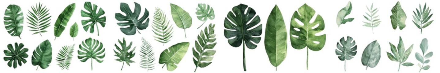A set of palm leaves takes center stage in a beautiful watercolor botanical painting, complete with illustrations of monstera and banana leaf, embodying the spirit of tropical green plants