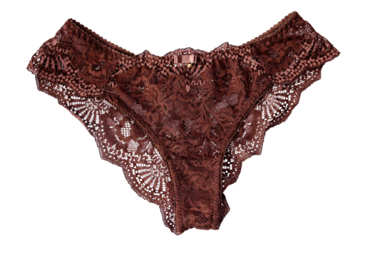 Beautiful women's brown panties without a background. sexy underwear. Elegant red women's underwear, top view