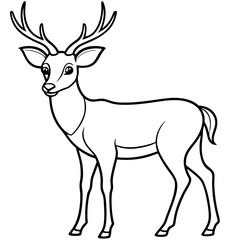 A Deer Silhouette Unveiled