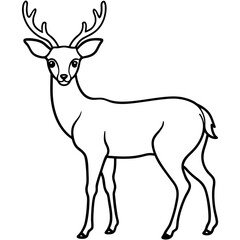 A Deer Silhouette Unveiled