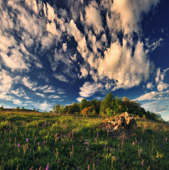 Morning Spring Meadow with Expressive Sky, Ukraine