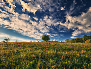 Morning Spring Meadow with Expressive Sky, Ukraine