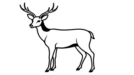 A Deer Silhouette Unveiled