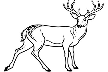 A Deer Silhouette Unveiled