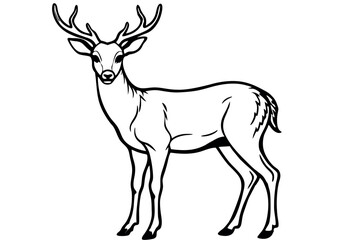 A Deer Silhouette Unveiled