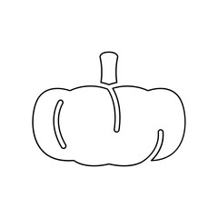 Pumpkin icon in line style