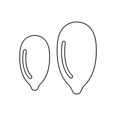 Pumpkin seed icon in line style