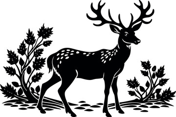A Deer Silhouette Unveiled