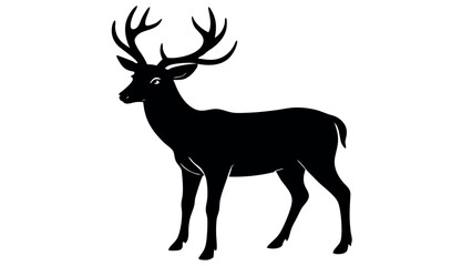 A Deer Silhouette Unveiled