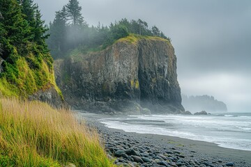 Misty Coastline with Rocky Shore