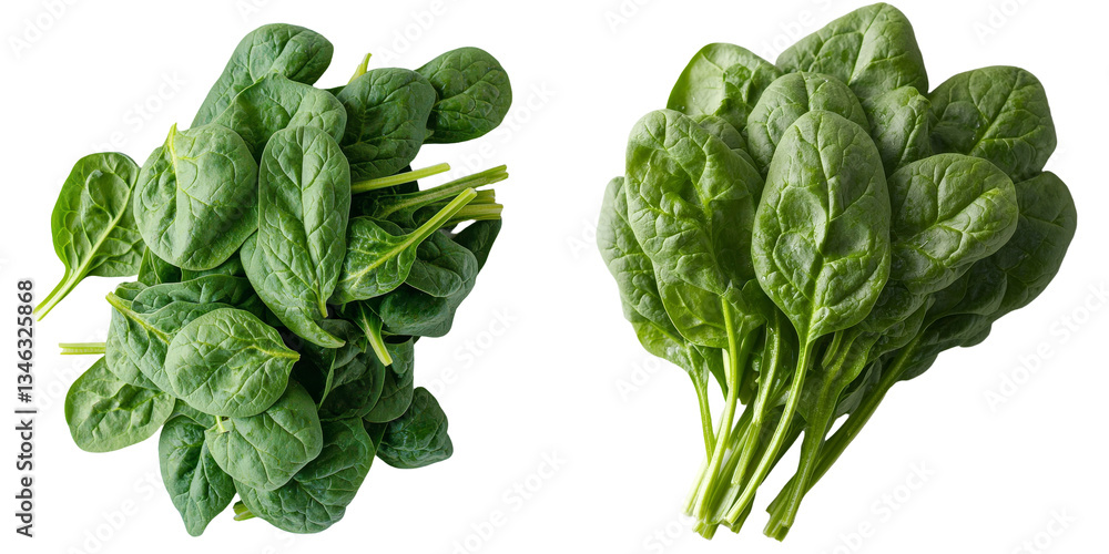 Aufkleber Isolated spinach on a see-through background produced using generative ai