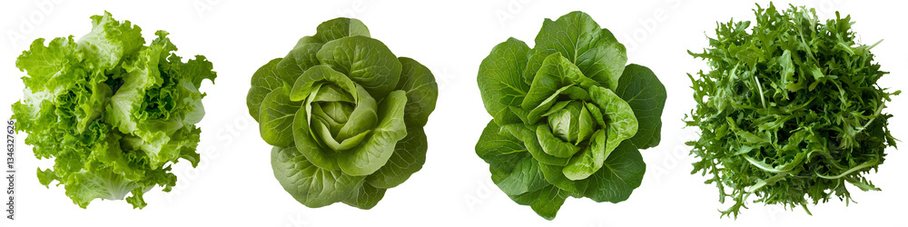 Poster isolated on a transparent background is a fresh green salad, the product of generative ai technology