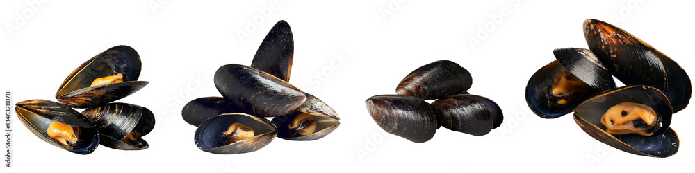 Poster Isolated mussels on transparent background produced by Generative Ai technology