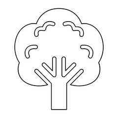 Broccoli icon in line style