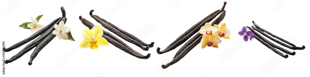 Poster isolated on a transparent background, vanilla pods and flowers were produced by generative ai techno