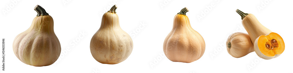 Poster the butternut squash in this picture, generated by generative ai, is set against a transparent backg