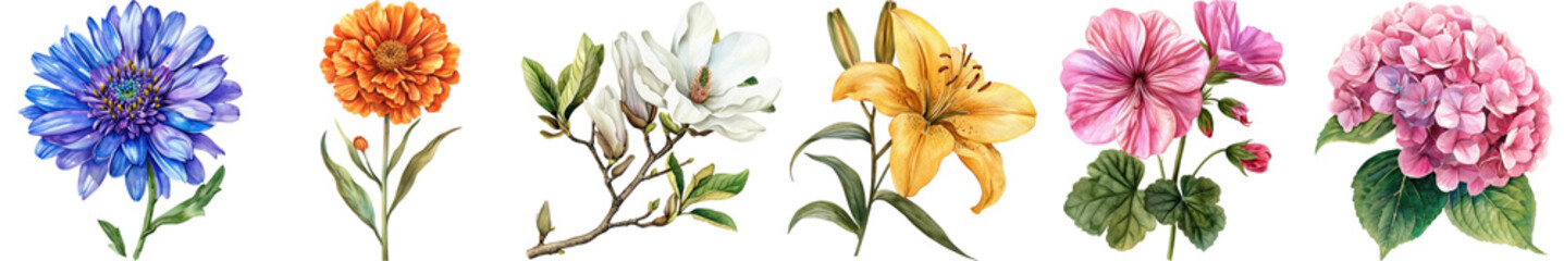Obraz premium Colorful Collection of Decorative Floral Illustrations Including Lilies, Daisies, and Other Vibrant Blooms