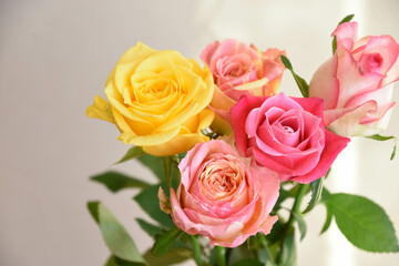 カラフルなばら